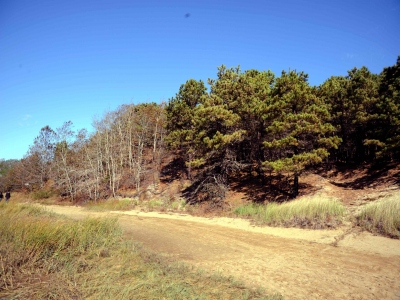 Cannon Hill