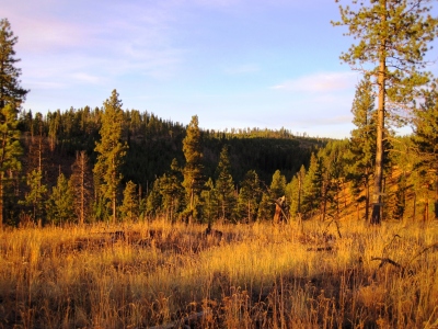 Unfried Ridge