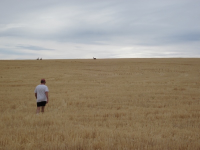 Knotgrass Ridge