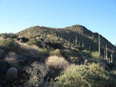 Black Mountain
