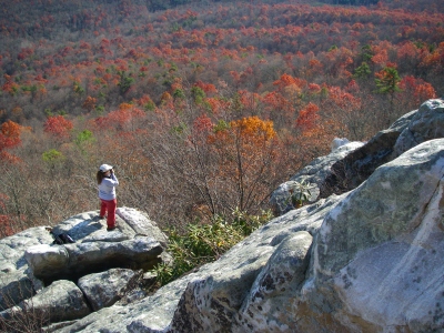 White Rock Cliff