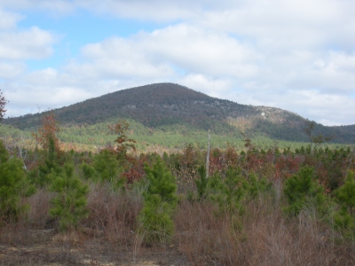 Hogpen Mountain