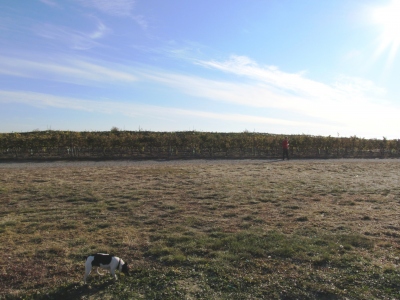 Radar Hill
