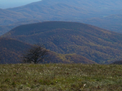 Panther Mountain