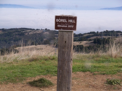 Borel Hill