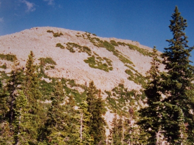 "Lofty Peak"
