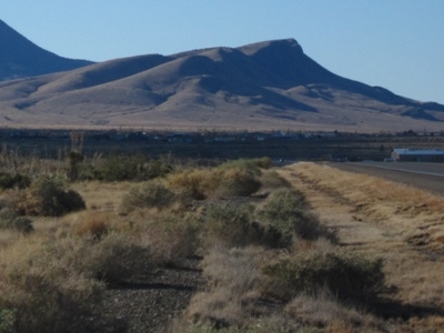 Willow Hill