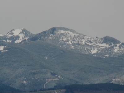 Burnt Mountain