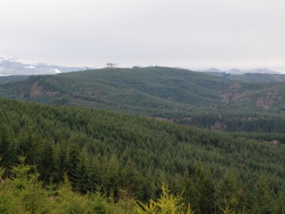 Cowling Ridge