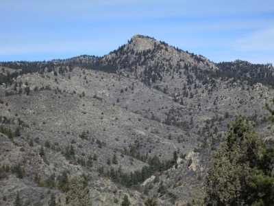 Lonetree Mountain