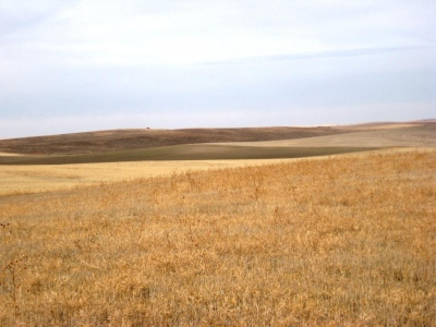 Glacken Hill