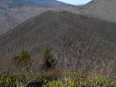 "Rocky Knob"