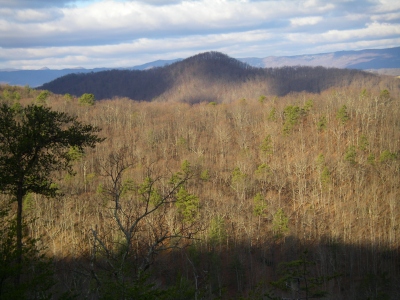 Brady Hill