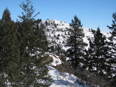 Bald Mountain