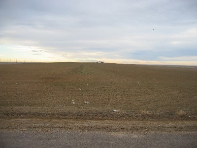 "DIA Ridge"