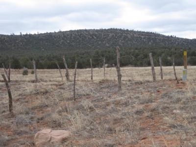Mesa Sola