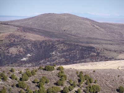 Buckskin Benchmark