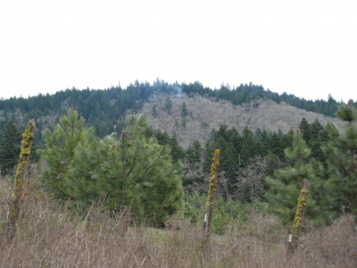 Locke Hill
