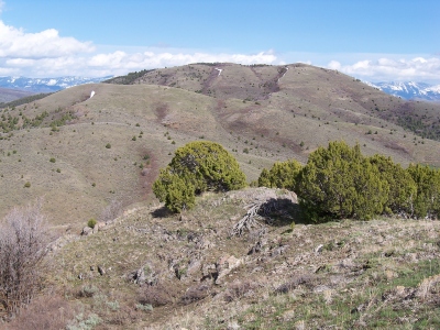 Treasureton Hill