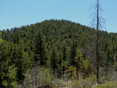 Porter Mountain