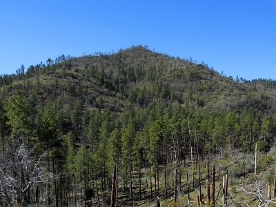 Williams Peak