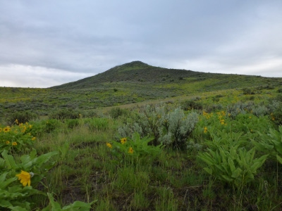Midvale Hill
