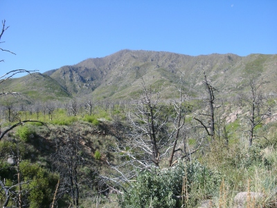 Baldy, Mount