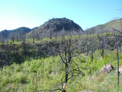Rocky Knoll