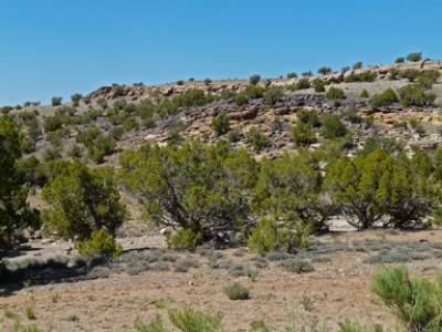 Twentyfive Mile Mesa