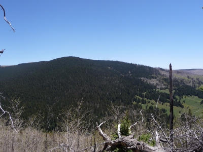 Barker, Mount