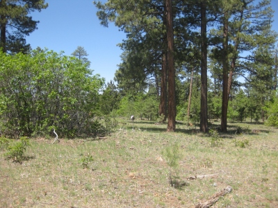 French Mesa