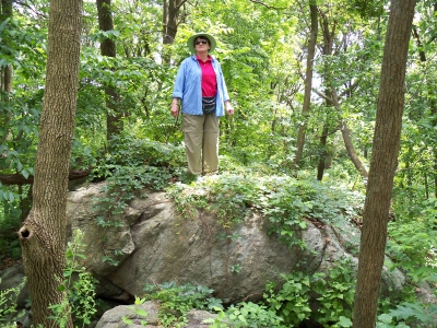 Bauer Rock