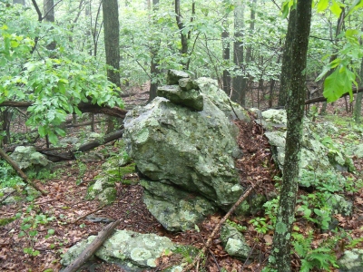 Foxville Lookout