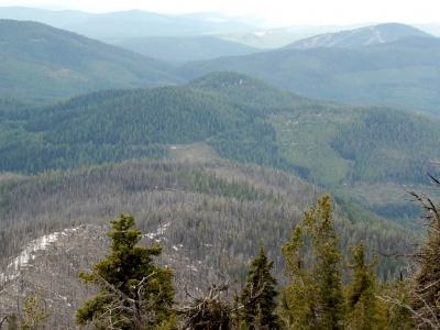 Bobcat Mountain