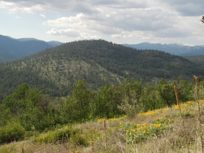 Muckamuck Hill