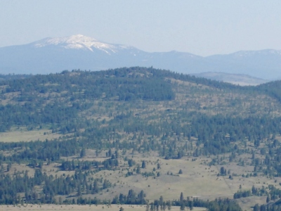 Wilcox Mountain