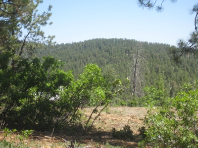 Gallina Mountain