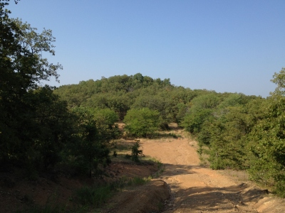 Spredding Ridge