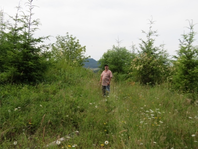 Stony Grade