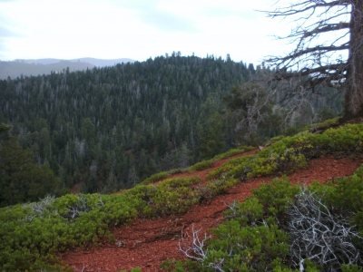 Henderson Hill