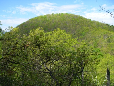 Fullhart Knob