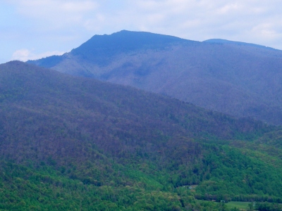 Roan High Bluff
