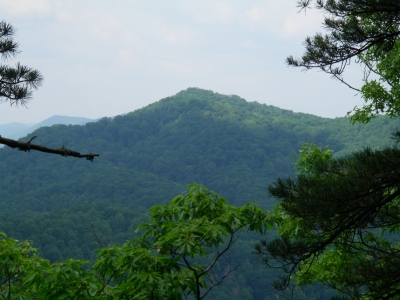 Fork Mountain