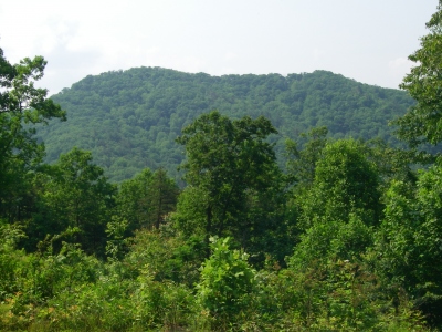Snaggy Mountain