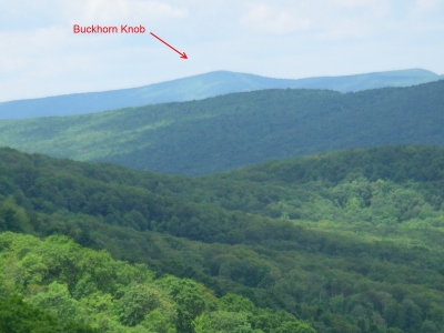 Buckhorn Knob