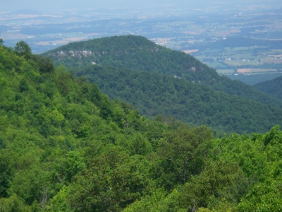 Furnace Mountain