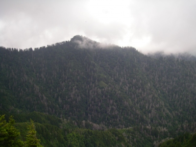 Horseshoe Mountain