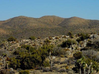 Lost Horse Mountain