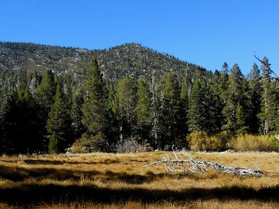 Miller Peak