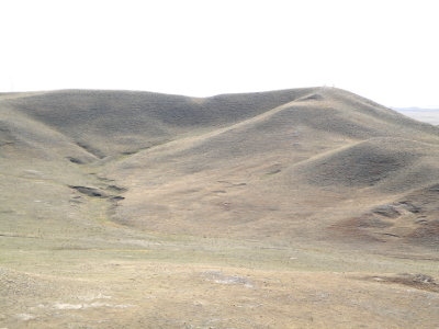 Terry Anticline